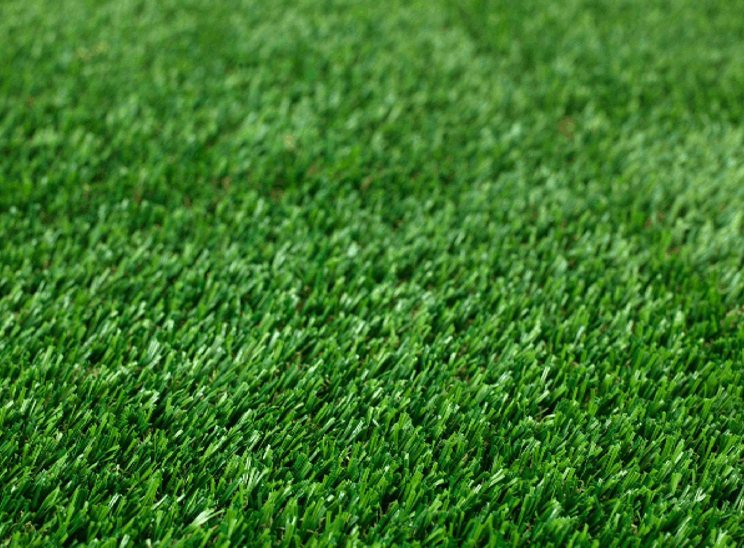 A close up image of artificle grass<br />