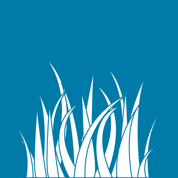 grass